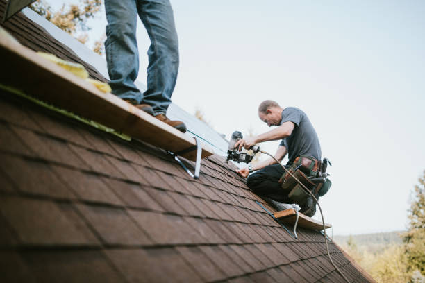 Quick and Trustworthy Emergency Roof Repair Services in Bayonne, NJ